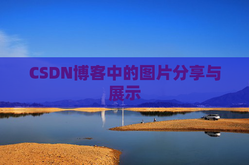CSDN博客中的图片分享与展示
